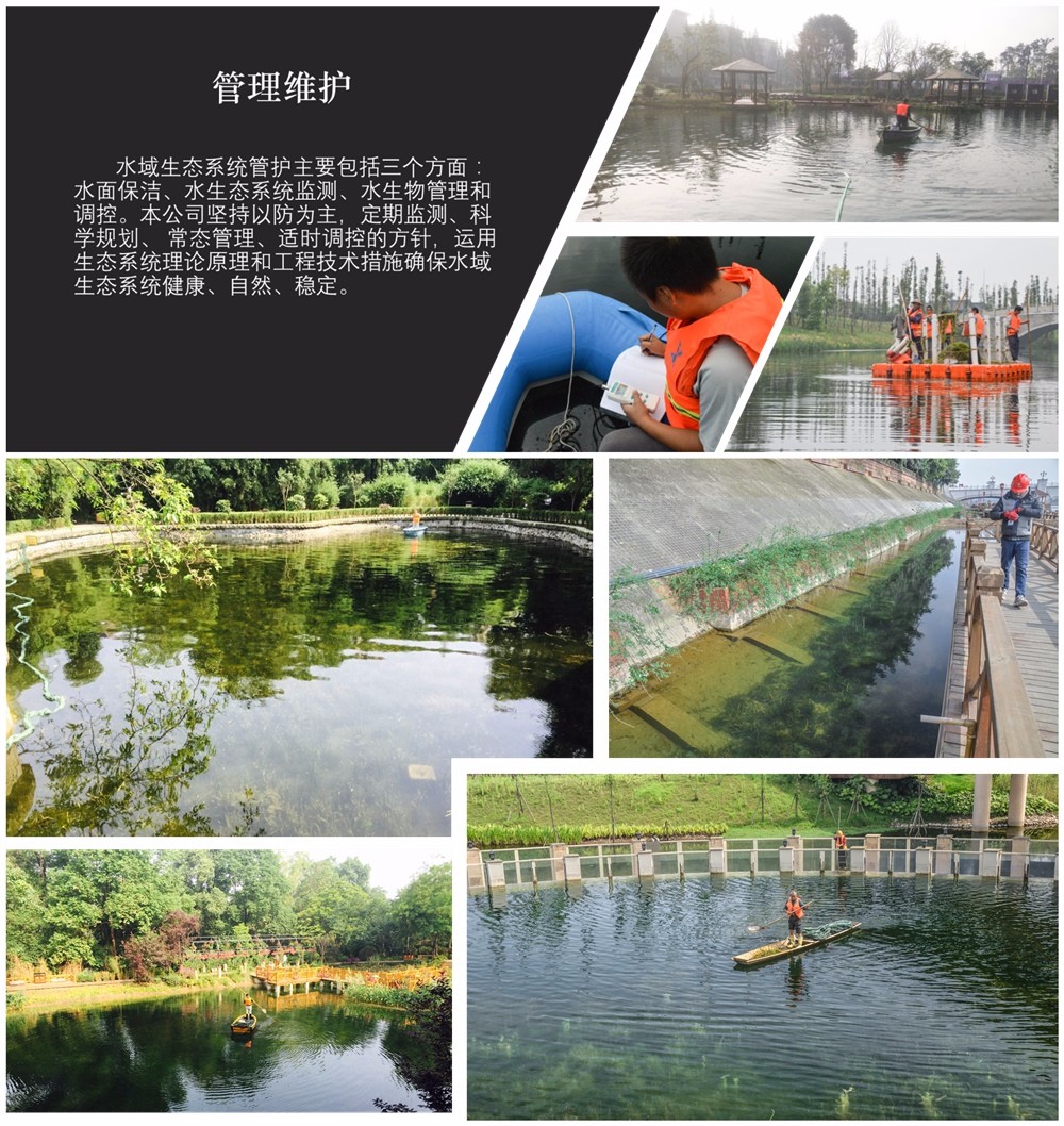 圖片1_副本.jpg