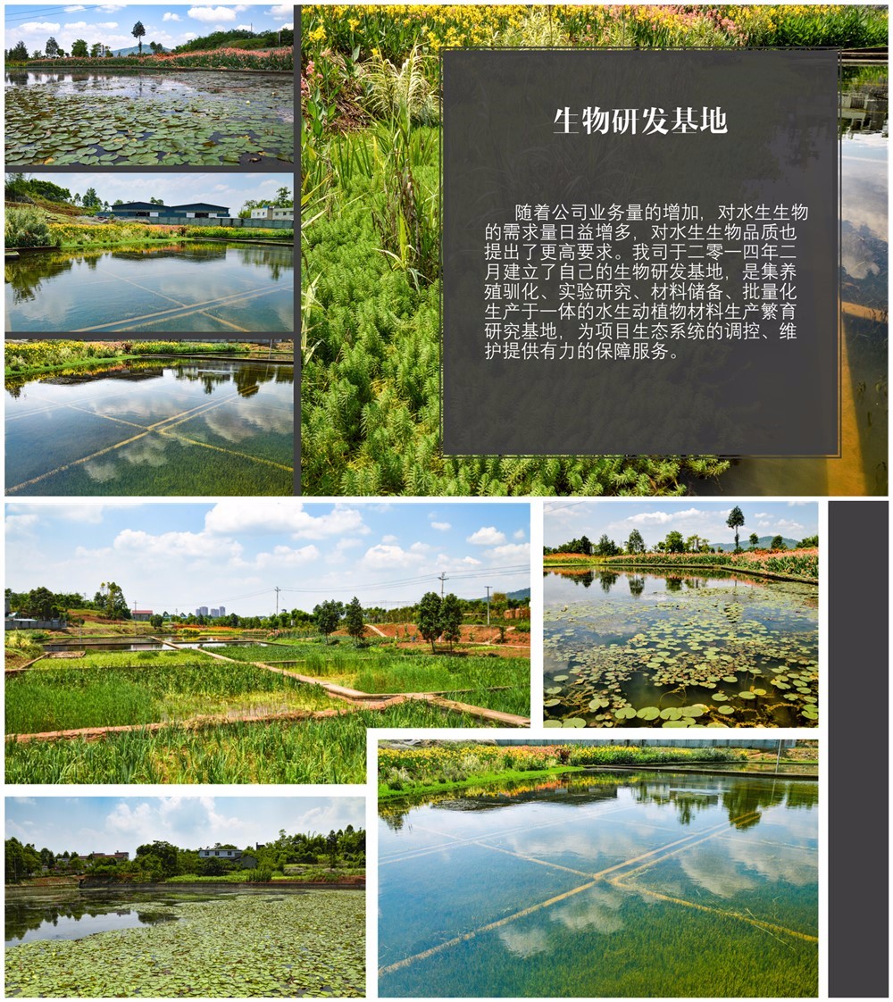 initpintu_副本.jpg