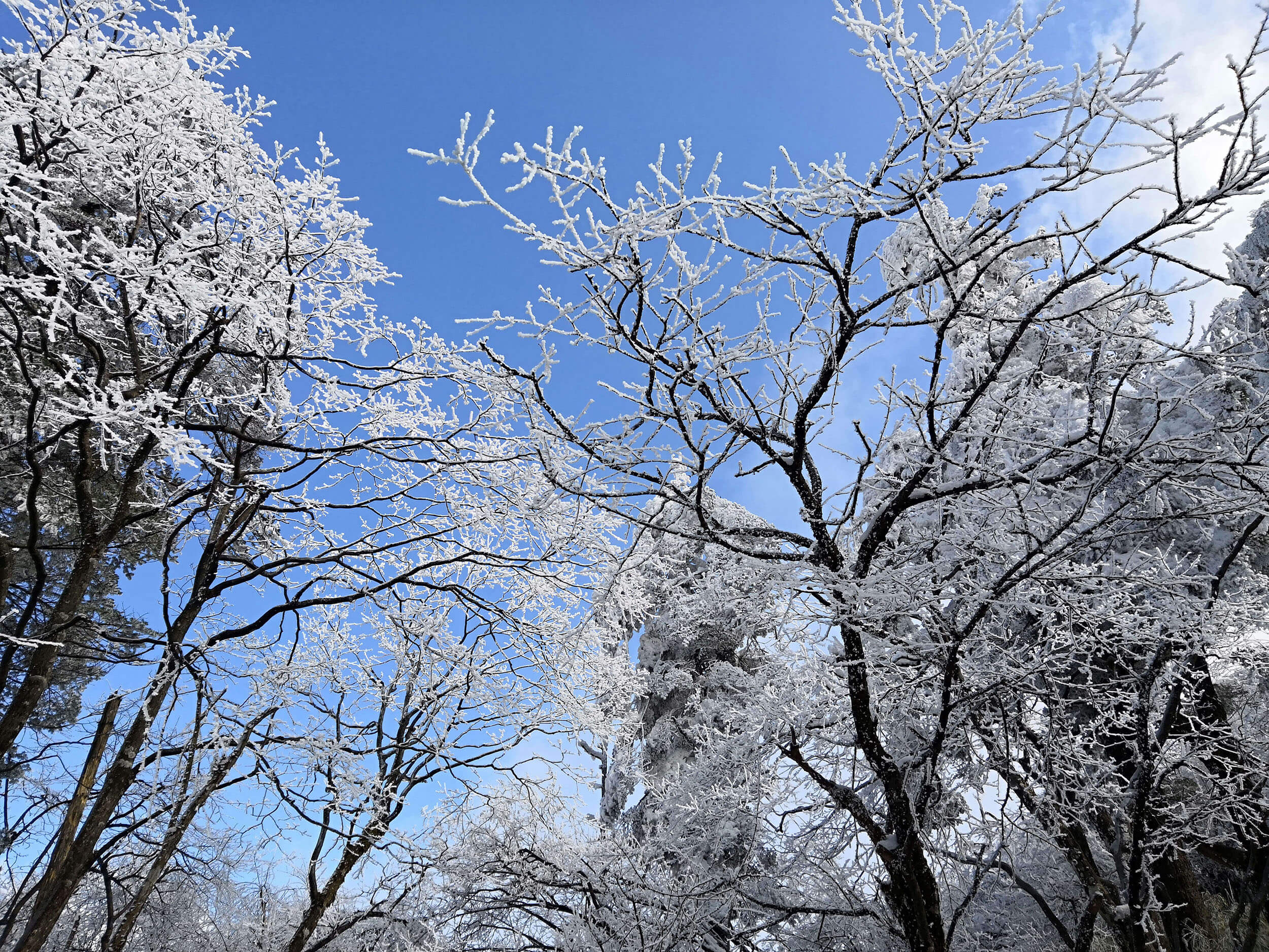 冰天雪地