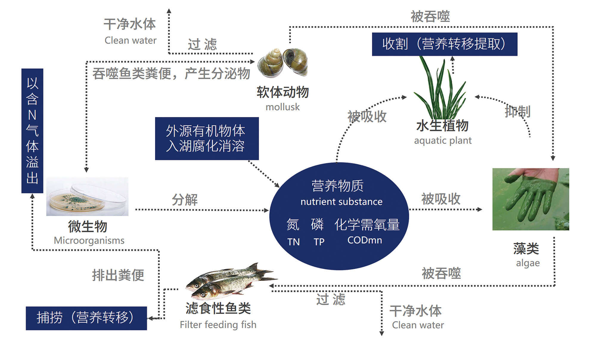 圖片7.jpg