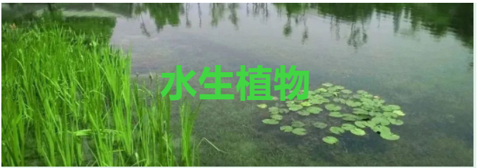 微信截圖_20230330113043.png