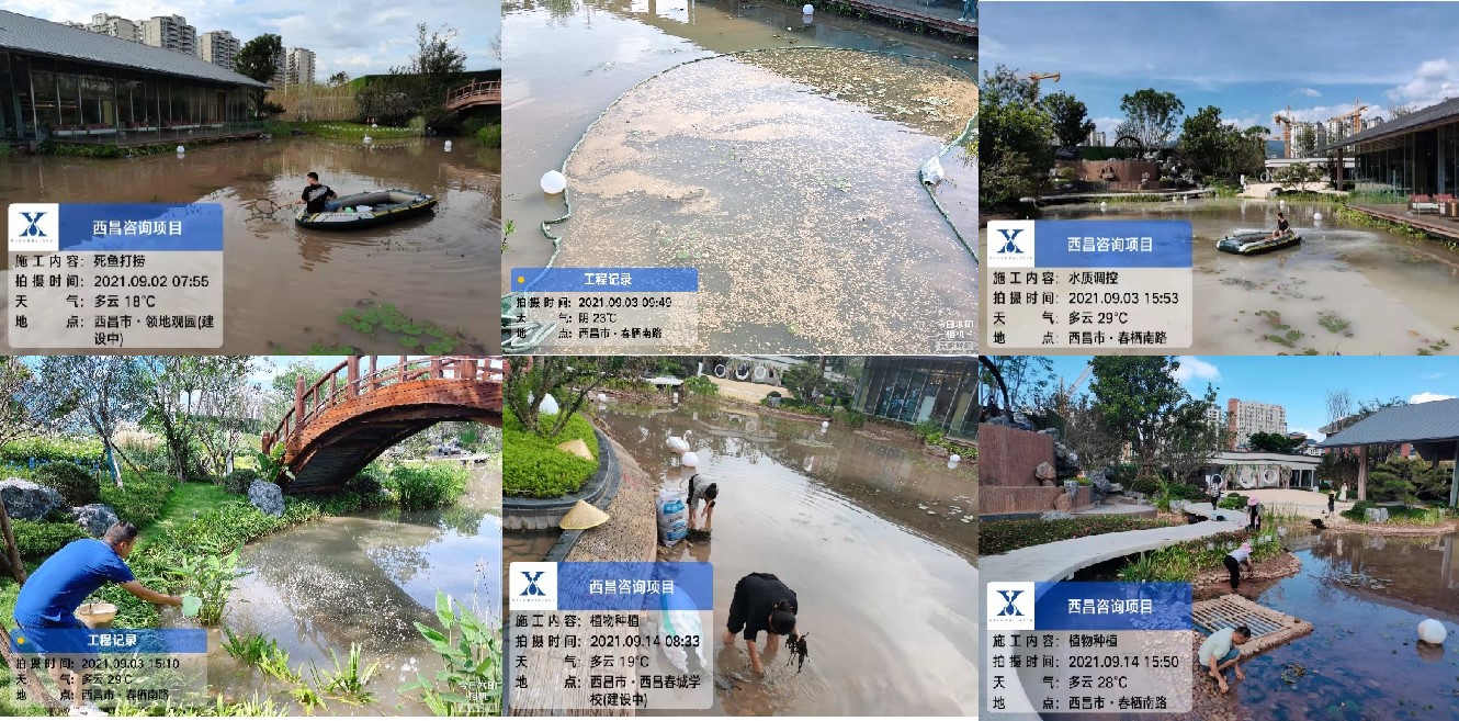 圖片2.jpg