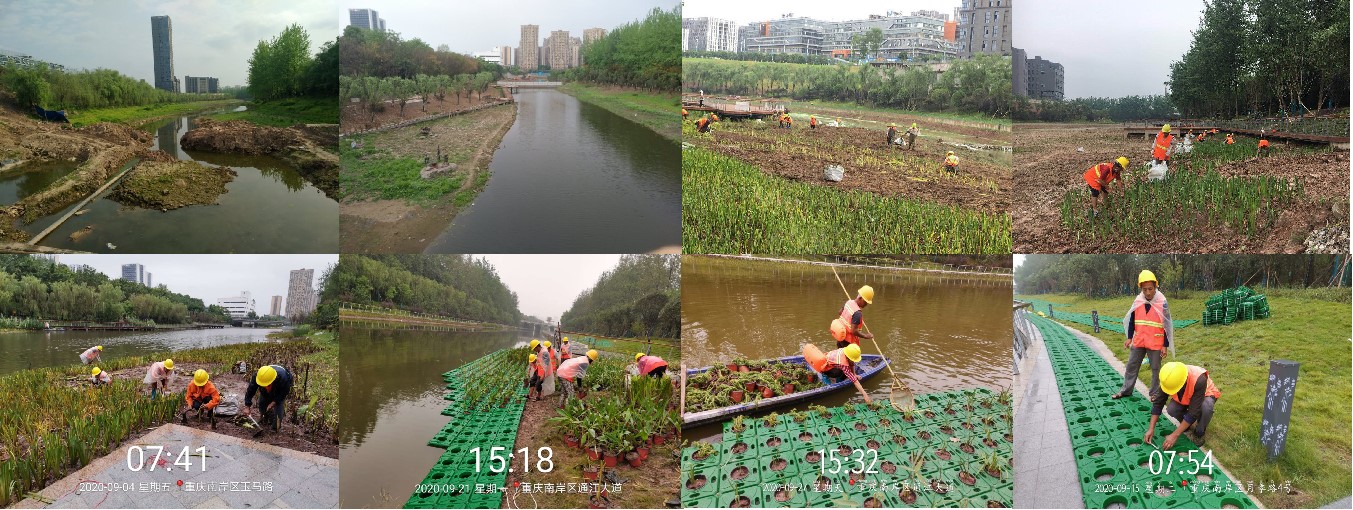圖片1.jpg
